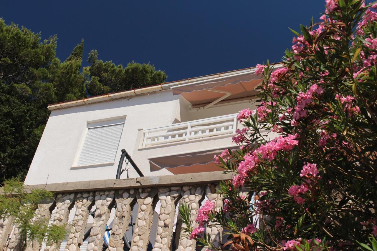 Zorana Apartment Mimice Exterior photo