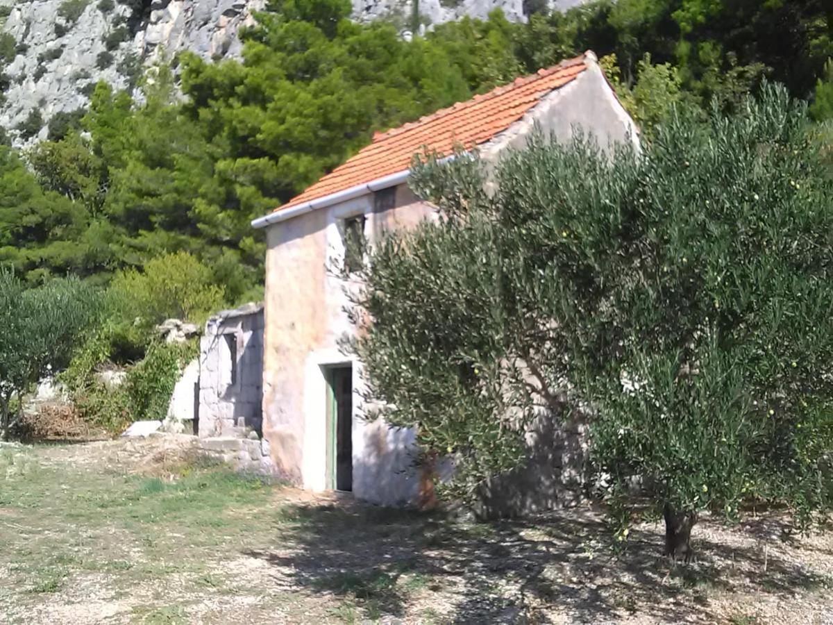 Zorana Apartment Mimice Exterior photo